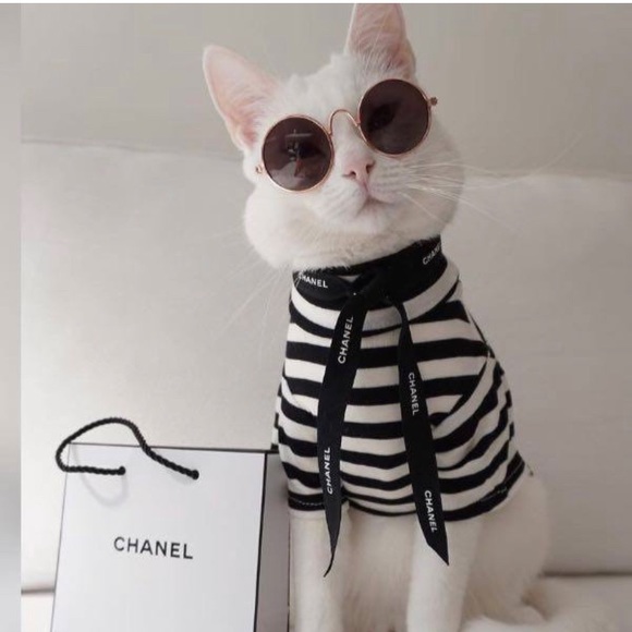 Happy poshing ❤️ - Picture 7 of 16